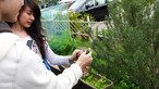 Visit to HK Garden Farm in Sai Kung - Photo - 43