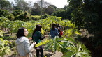 Visit to Organic Farm in Ha Pak Nai - Photo - 25