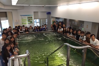 An on-site learning experience
