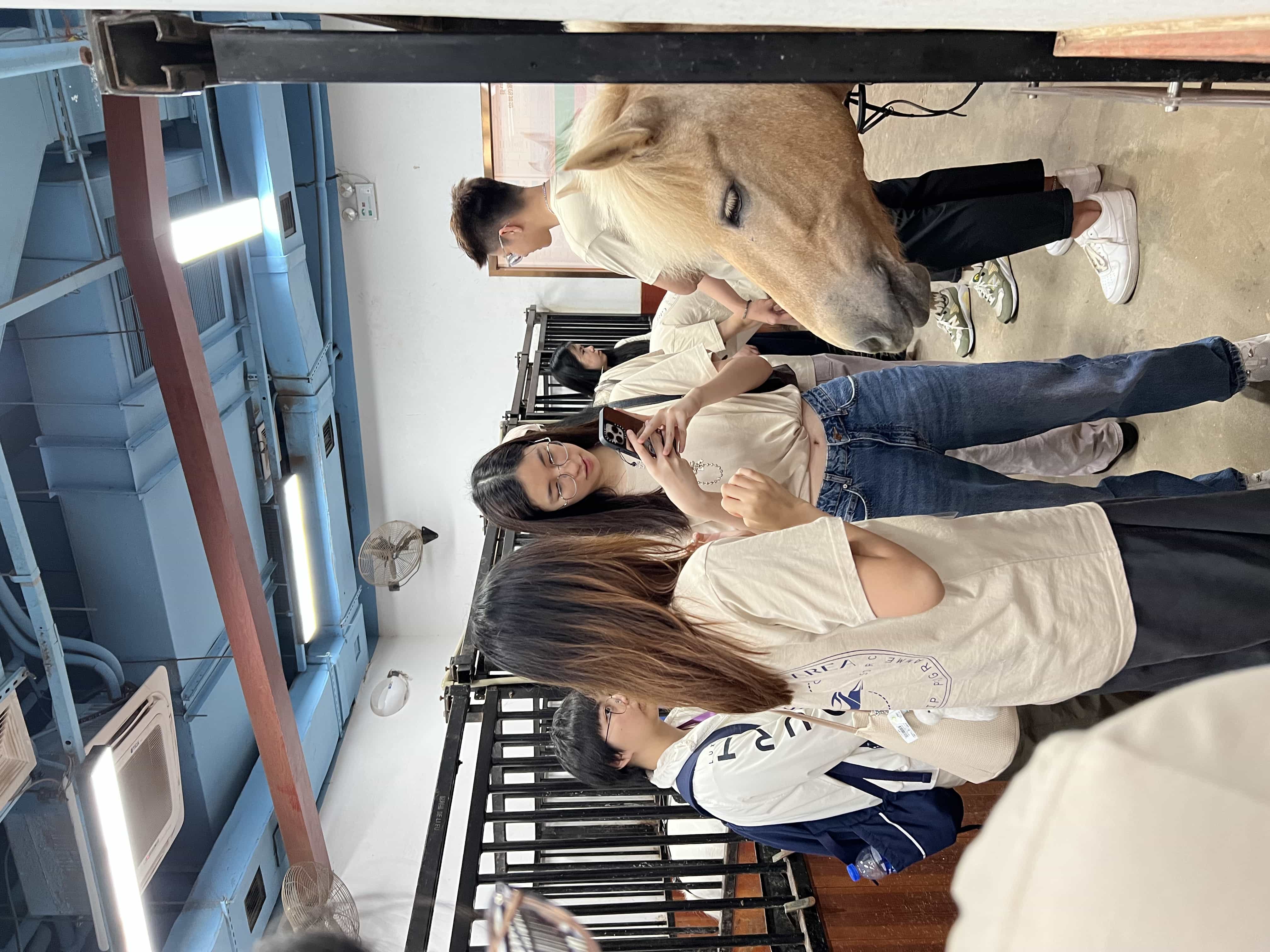 HPSHCC 大灣區實習計劃