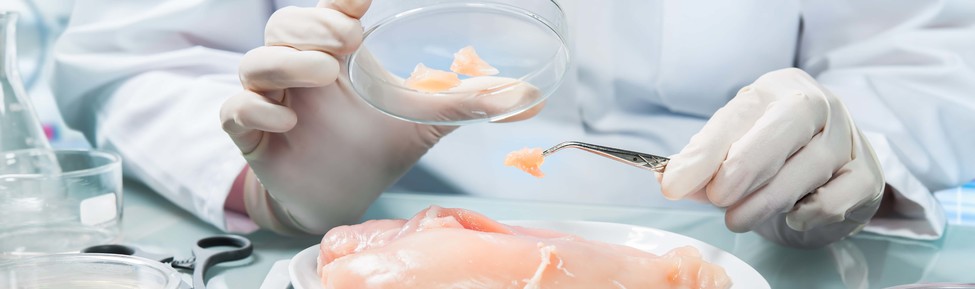 食品科學及安全（新課程）